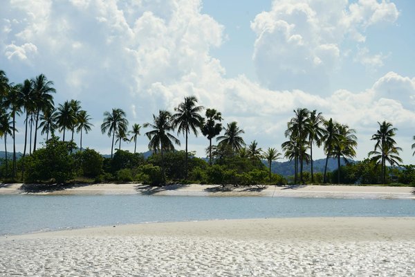 Wie kann man die Natur beim Campen respektieren?