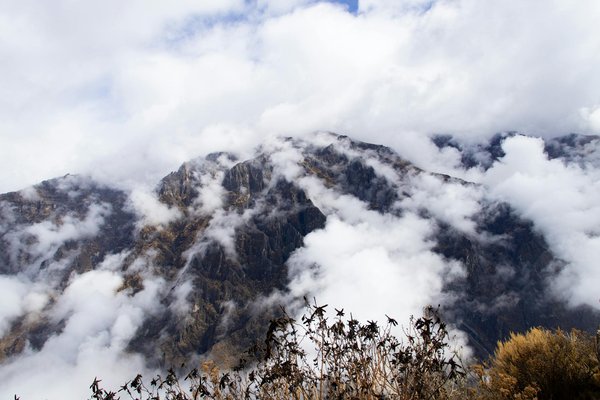 Wie kann man die Sichtbarkeit von FerienunterkÃ¼nften auf Buchungsplattformen erhÃ¶hen?