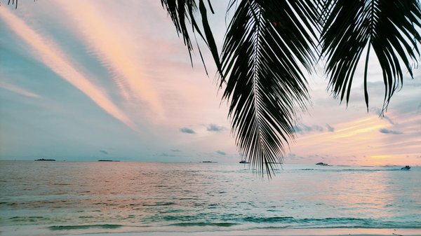 Wie kÃ¶nnen Reisende den Ã¶kologischen FuÃŸabdruck ihrer Reise minimieren?